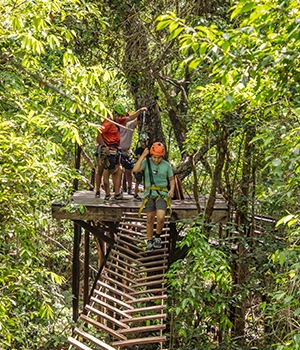 Cenote Selva Maya aliado los centes.com