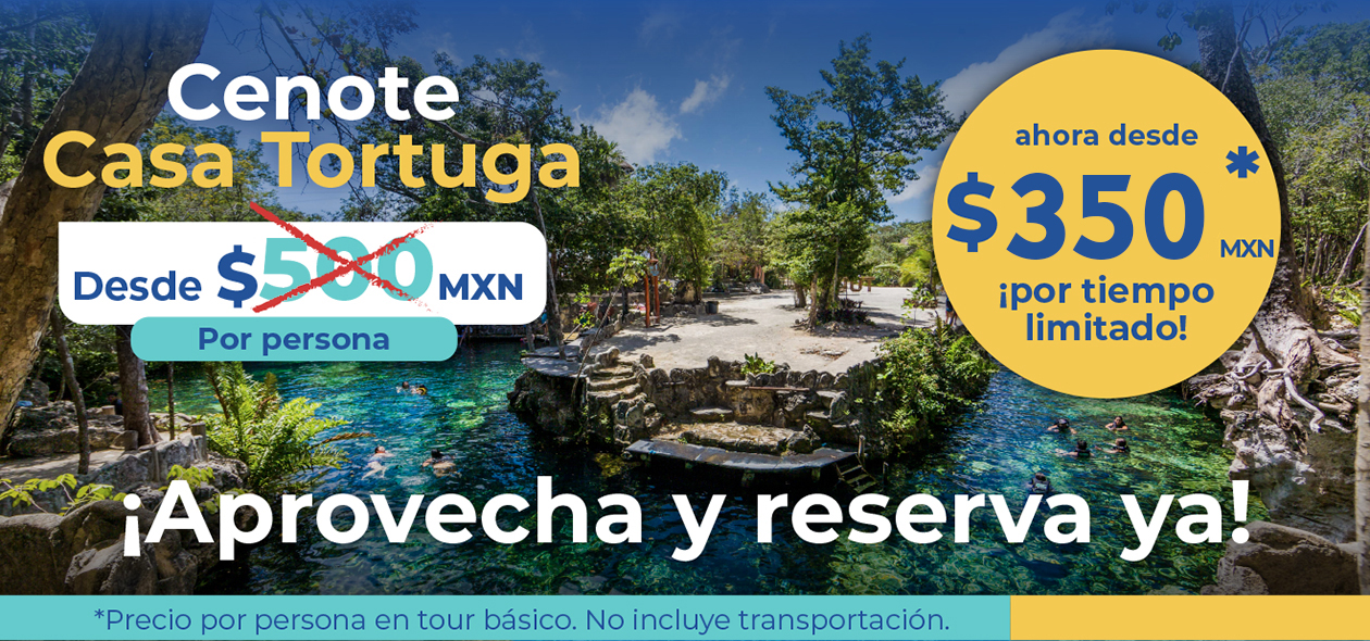 Promo Tortuga Basico web (1)